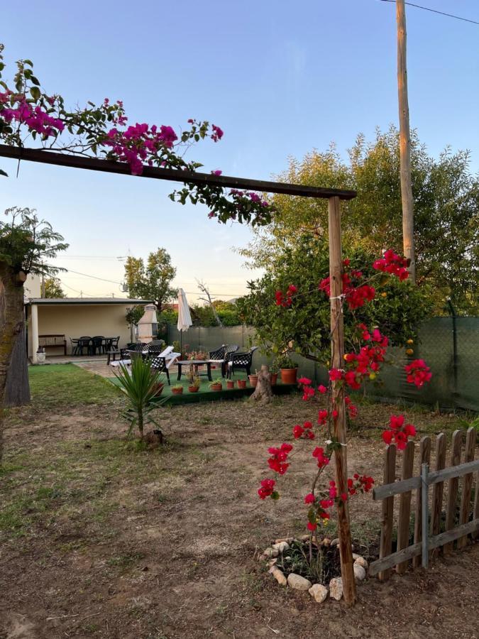 Quinta Dos Viegas Villa Faro Luaran gambar