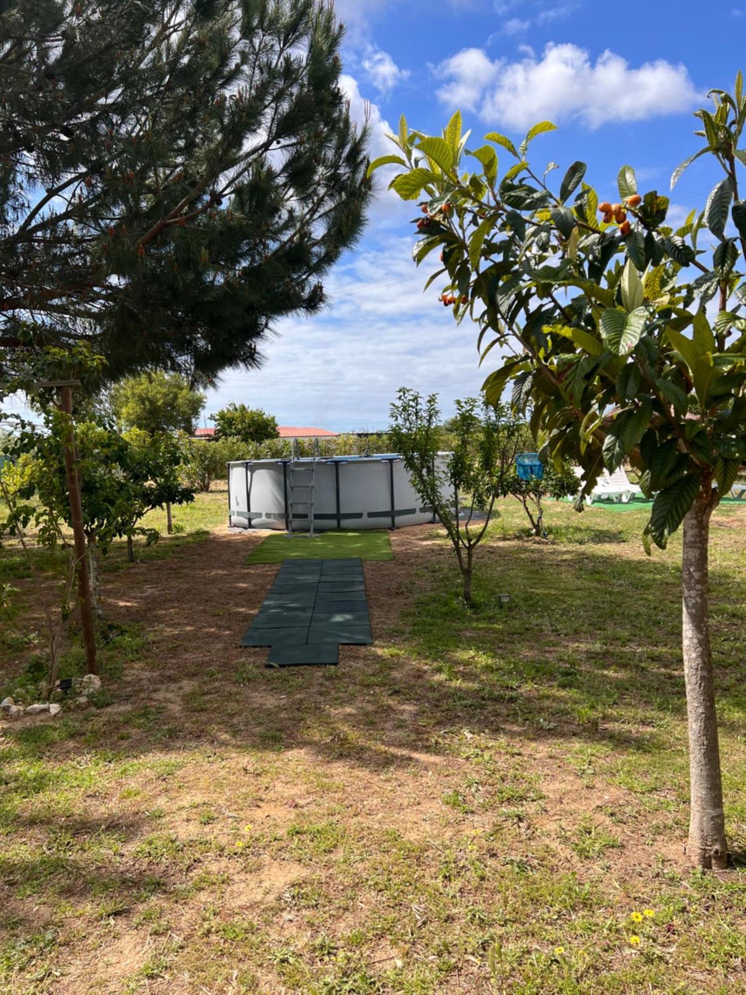 Quinta Dos Viegas Villa Faro Luaran gambar